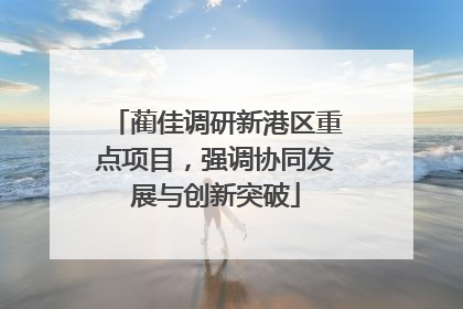 蔺佳调研新港区重点项目，强调协同发展与创新突破