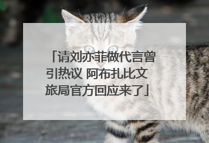 请刘亦菲做代言曾引热议 阿布扎比文旅局官方回应来了