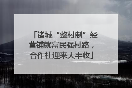 诸城“整村制”经营铺就富民强村路，合作社迎来大丰收