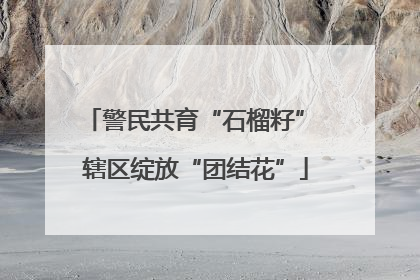 警民共育“石榴籽” 辖区绽放“团结花”