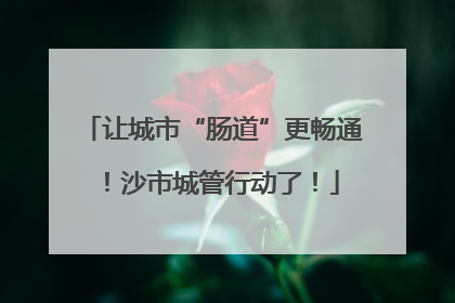 让城市“肠道”更畅通！沙市城管行动了！