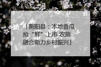 衡阳县：本地香瓜抢“鲜”上市 农旅融合助力乡村振兴