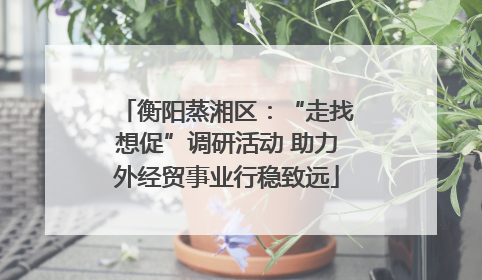 衡阳蒸湘区：“走找想促”调研活动 助力外经贸事业行稳致远