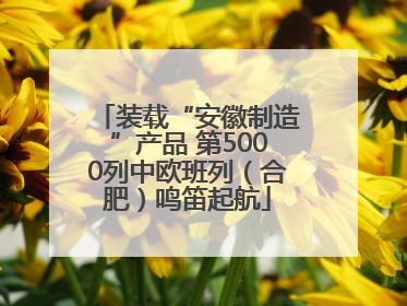 装载“安徽制造”产品 第5000列中欧班列（合肥）鸣笛起航