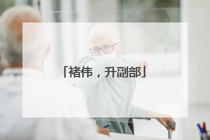 褚伟，升副部