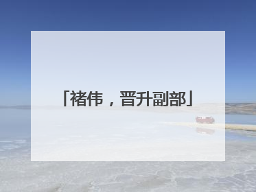 褚伟，晋升副部