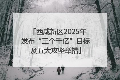 西咸新区2025年发布“三个千亿”目标及五大攻坚举措