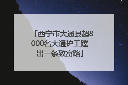 西宁市大通县超8000名大通护工蹚出一条致富路
