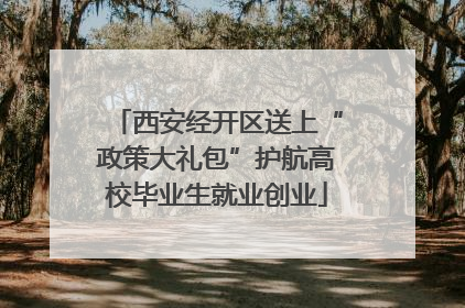 西安经开区送上“政策大礼包”护航高校毕业生就业创业