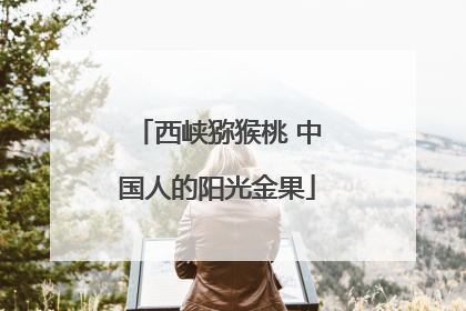 西峡猕猴桃 中国人的阳光金果