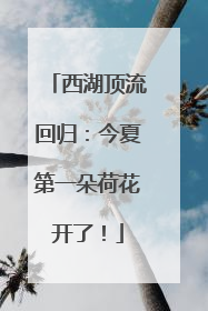 西湖顶流回归：今夏第一朵荷花开了！