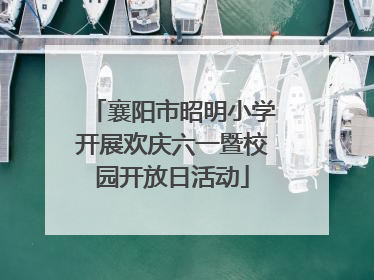 襄阳市昭明小学开展欢庆六一暨校园开放日活动
