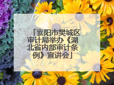 襄阳市樊城区审计局举办《湖北省内部审计条例》宣讲会