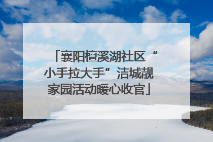 襄阳檀溪湖社区“小手拉大手”洁城靓家园活动暖心收官
