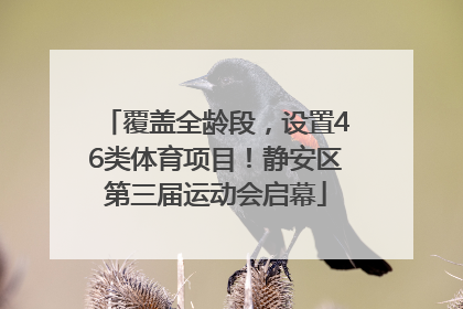 覆盖全龄段，设置46类体育项目！静安区第三届运动会启幕