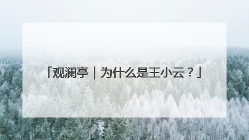 观澜亭｜为什么是王小云？
