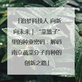 追梦科技人 向新向未来｜“菜篮子”里的种业密码：解码南京蔬菜分子育种的创新之路