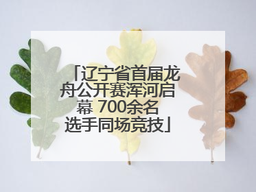 辽宁省首届龙舟公开赛浑河启幕 700余名选手同场竞技