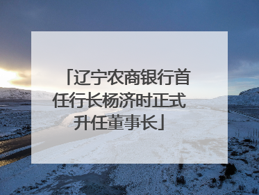 辽宁农商银行首任行长杨济时正式升任董事长