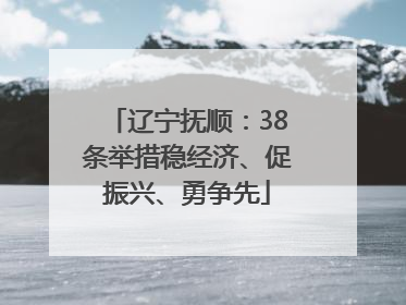 辽宁抚顺：38条举措稳经济、促振兴、勇争先