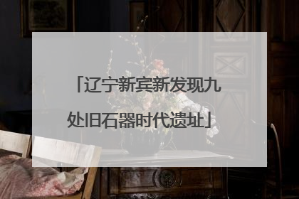 辽宁新宾新发现九处旧石器时代遗址