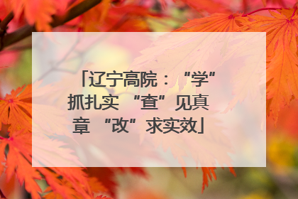 辽宁高院：“学”抓扎实 “查”见真章 “改”求实效