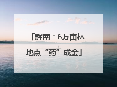 辉南：6万亩林地点“药”成金