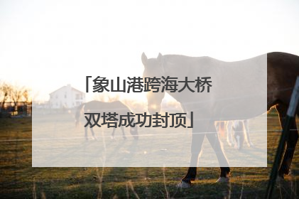 象山港跨海大桥双塔成功封顶