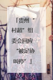 贵州“村超”组委会回应“被足协叫停”