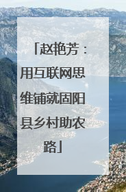赵艳芳：用互联网思维铺就固阳县乡村助农路