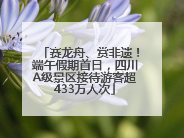 赛龙舟、赏非遗！端午假期首日，四川A级景区接待游客超433万人次