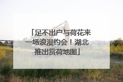 足不出户与荷花来一场浪漫约会！湖北推出赏荷地图