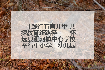践行五育并举 共探教育新路径——怀远县淝河镇中心学校举行中小学、幼儿园班主任论坛活动