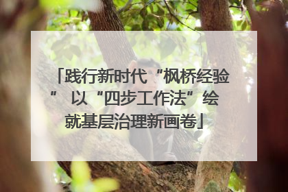 践行新时代“枫桥经验” 以“四步工作法”绘就基层治理新画卷