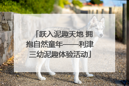 跃入泥趣天地 拥抱自然童年——利津三幼泥趣体验活动