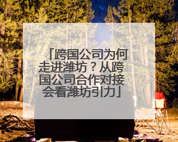 跨国公司为何走进潍坊？从跨国公司合作对接会看潍坊引力