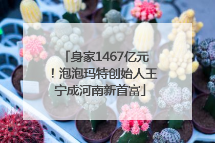 身家1467亿元！泡泡玛特创始人王宁成河南新首富