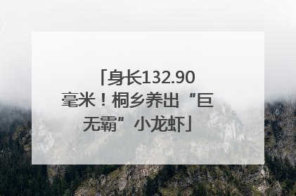 身长132.90毫米！桐乡养出“巨无霸”小龙虾