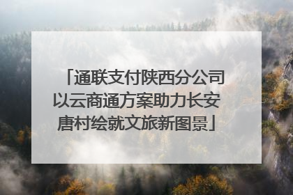 通联支付陕西分公司以云商通方案助力长安唐村绘就文旅新图景