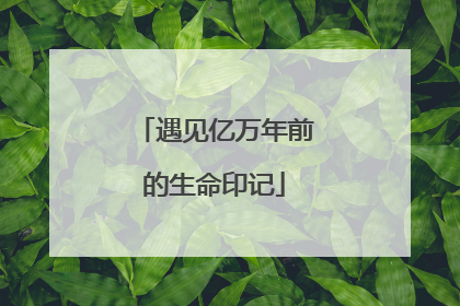 遇见亿万年前的生命印记