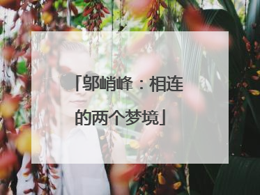 邬峭峰：相连的两个梦境
