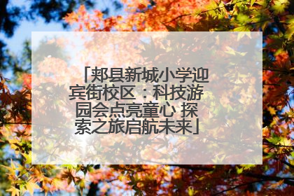 郏县新城小学迎宾街校区：科技游园会点亮童心 探索之旅启航未来