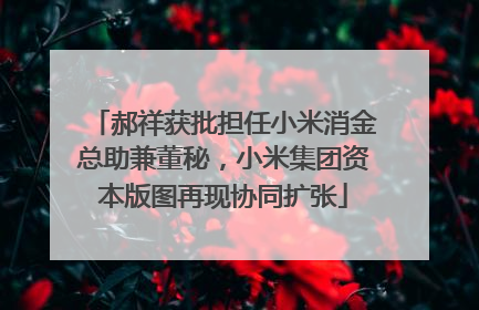 郝祥获批担任小米消金总助兼董秘，小米集团资本版图再现协同扩张