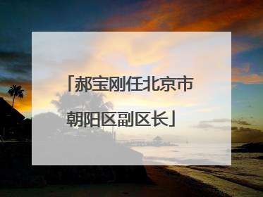 郝宝刚任北京市朝阳区副区长