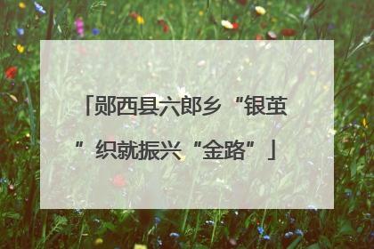 郧西县六郎乡“银茧”织就振兴“金路”