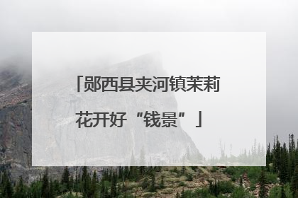 郧西县夹河镇茉莉花开好“钱景”