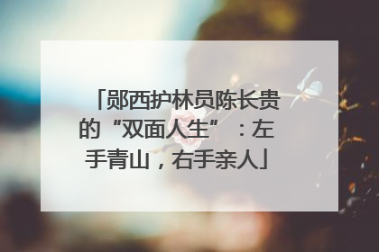 郧西护林员陈长贵的“双面人生”：左手青山，右手亲人