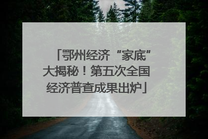 鄂州经济“家底”大揭秘！第五次全国经济普查成果出炉