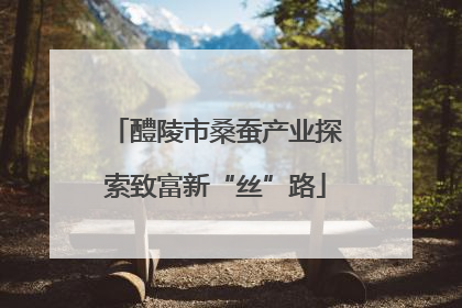 醴陵市桑蚕产业探索致富新“丝”路