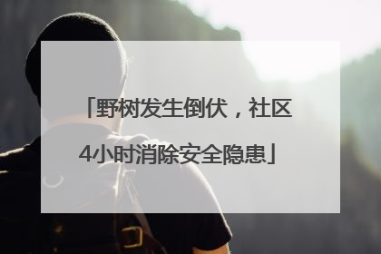 野树发生倒伏，社区4小时消除安全隐患